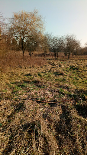 Ridlins Mire - Visual