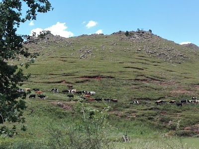 Photos of Khotso Lodge & Horse Trails