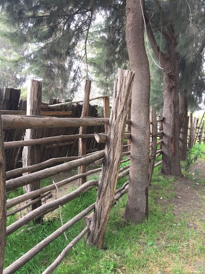 Photos of Balneario El Trapiche