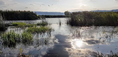 Gölünyazı Milli Parkı