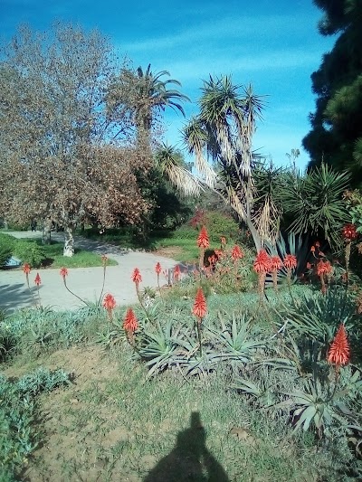 Photos of Botanical Garden experiments