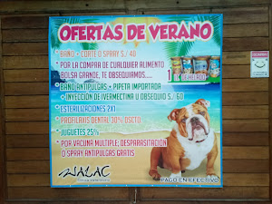 Walac Clínica Veterinaria 1