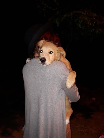 Photos of Veterinary Clinic Dr. Stenio