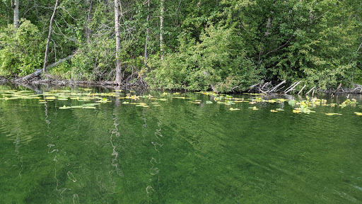 Kepler Park - Visual