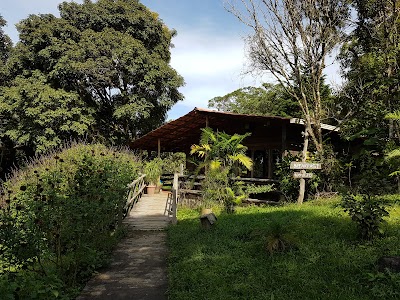 Photos of Hotel El Bosque Monteverde