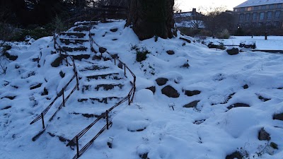 Photos of Horticultural Gardens, University of Copenhagen
