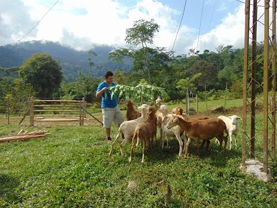 Photos of Bosques de Cacao Yariguies