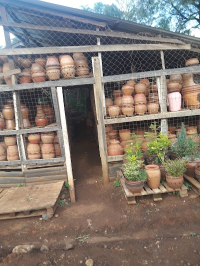 Photos of Flowerland Tree Nursery