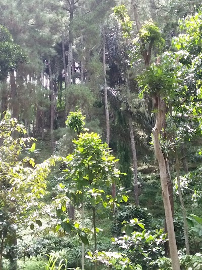 Photos of Air Terjun Selolapis
