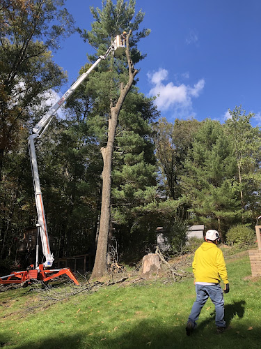 SHR Tree LLC