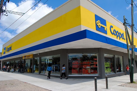 Coppel San José, Author: Natu Ber