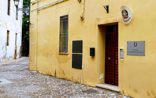 Nucleo Carabinieri Forestale Mantova - Thumbnail