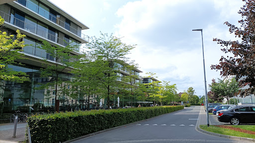 University Hospital Düsseldorf - Thumbnail