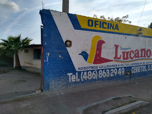 Transportes Lucano S.A. de C.V. - Mexico