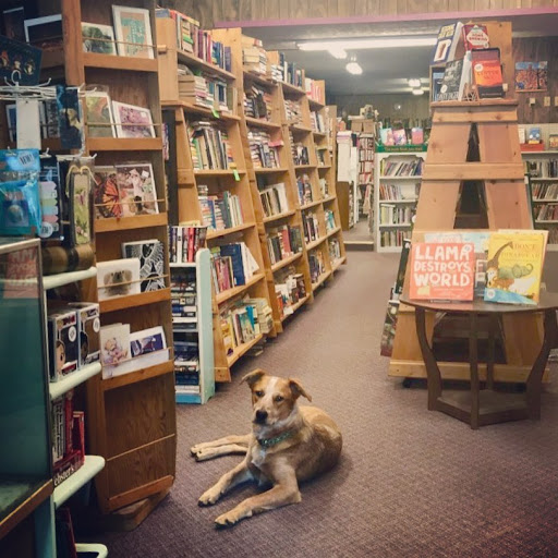 Browsing Bison Books - Thumbnail