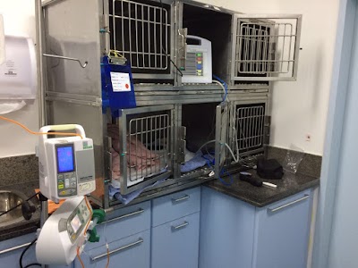 Photos of The Pet From Ipanema