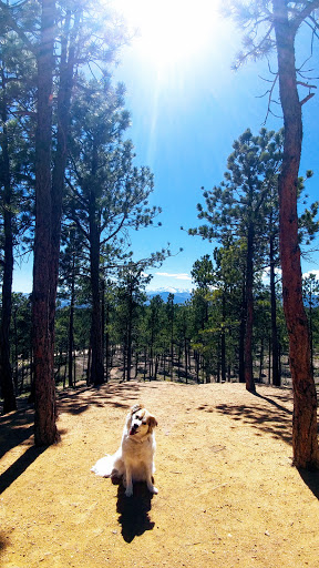 Fox Run Regional Park Trailhead - Thumbnail