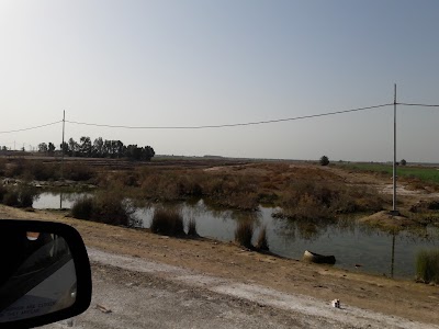 Photos of Martyr Sadr Street Mu'ammil