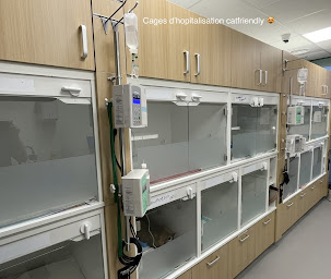 Photo n°32 de Clinique vétérinaire VetRiviera à Nice (Pharmacie vétérinaire)