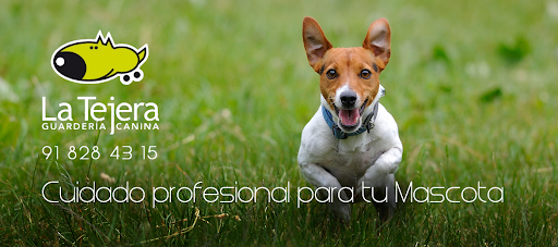 Clínica veterinaria La Navata