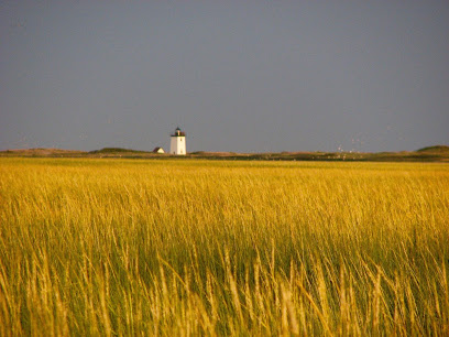 Dr Michael Jones Psychologist