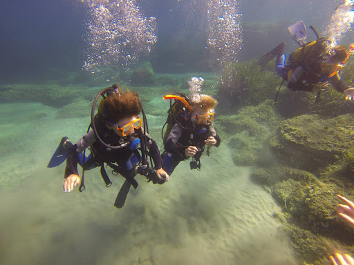 Photo de Dollfin Centre Ecole Plongée