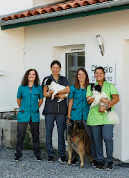 Photo n°4 de Cabinet Vétérinaire Itxasoa à Bidart (Vétérinaire)