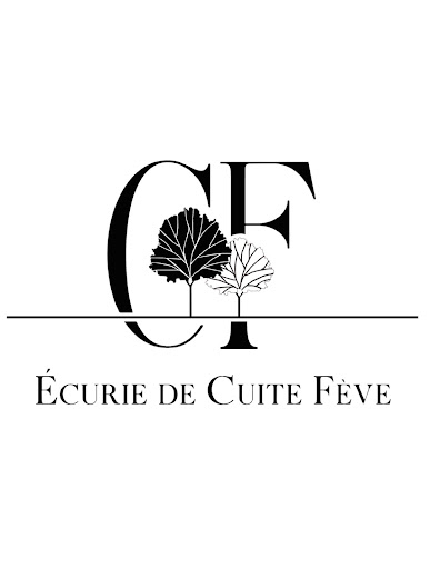 Photo de Site du neucours