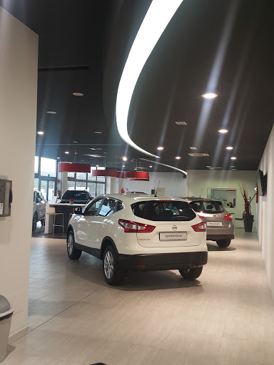 Brogi & Collitorti - Empoli - Nissan Gallery - Italy