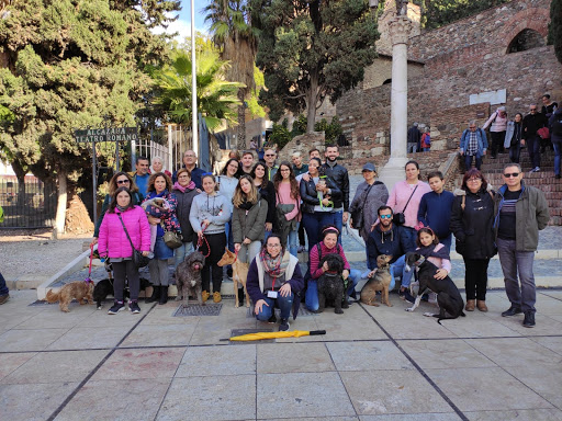 Memorias de Málaga - Free tours Málaga y Visitas Guiadas