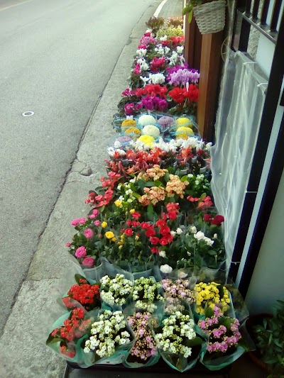 EDEN FIORI di Viceconti Cristina