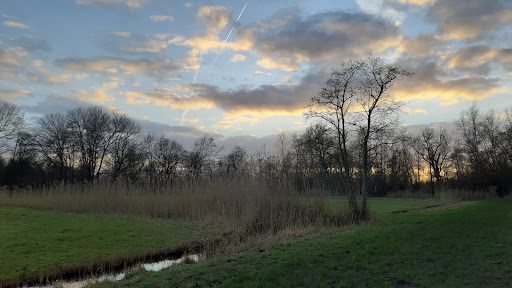 De Lieskampen Gallery - Netherlands