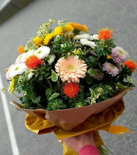 Manuela Piante E Fiori (fioreria Manuela) - Thumbnail