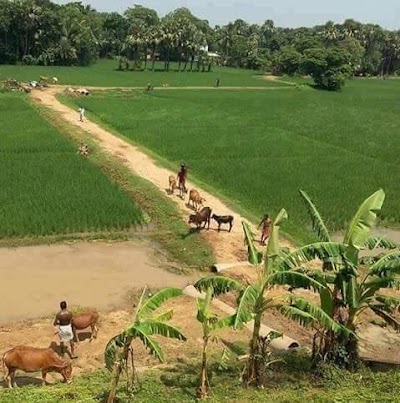 Photos of খোশাল শাহ্ মসজিদ