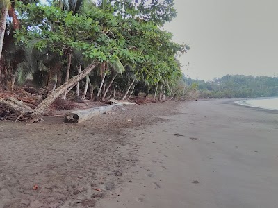 Photos of Rancho Corcovado Lodge