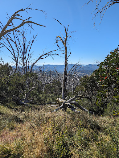 Mount Stirling - Visual