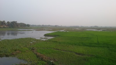 Photos of Sinduriya Boro Para Jame Masjid