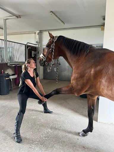 Tierphysiotherapie Pia Heinloth