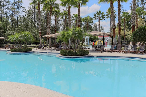 Vilma Lacorte REALTOR in Tampa Bay area, Wesley Chapel, FL - Thumbnail