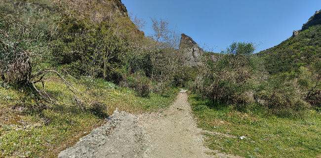 Αριθμός τηλεφώνου Meteora Central Hostel
