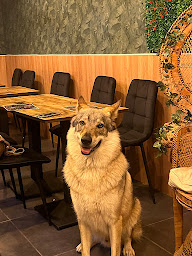 Photo n°21 de AO’Burger à Le Creusot (Restaurant)