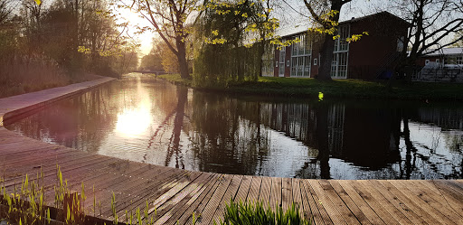 SBO de Kans