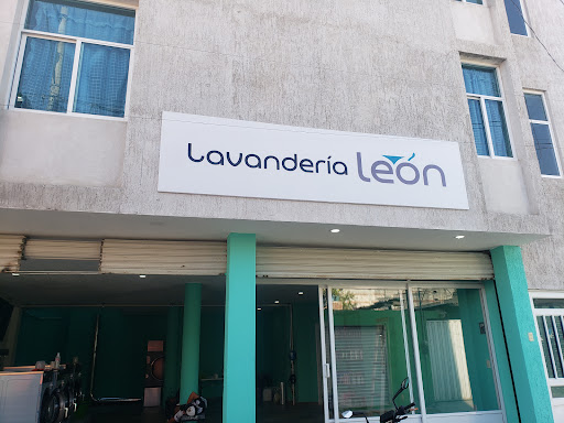 Lavanderia leon - Thumbnail