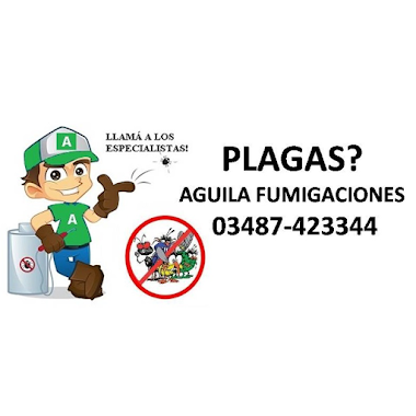 Aguila Fumigaciones, Author: Aguila Fumigaciones