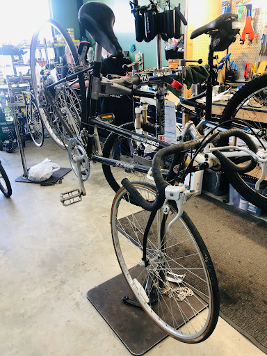 DOWNTOWN BICYCLE WORKS - Thumbnail