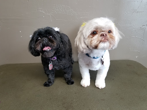 Maizey’s Groom Crew