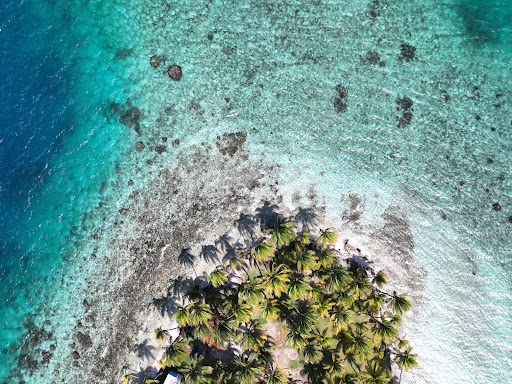 San Blas Dreams • San Blas & Panama Tours