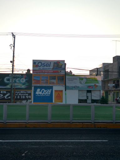 Pinturas Osel de Hidalgo - Thumbnail