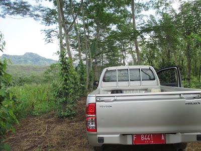 Photos of Kebun Percobaan Sukamulya