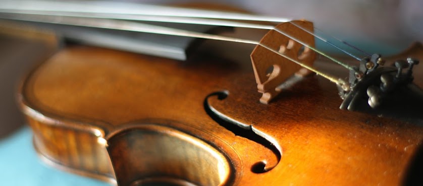 Violin Lessons - Carrie K. Lee by null